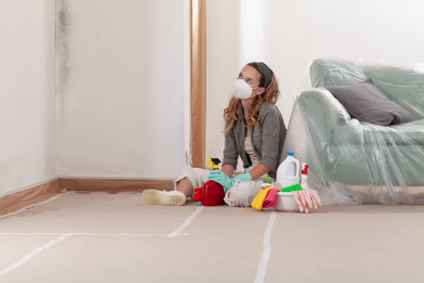 Reliable Mold Remediation contractor in Dover, FL by WQB Mold Removal